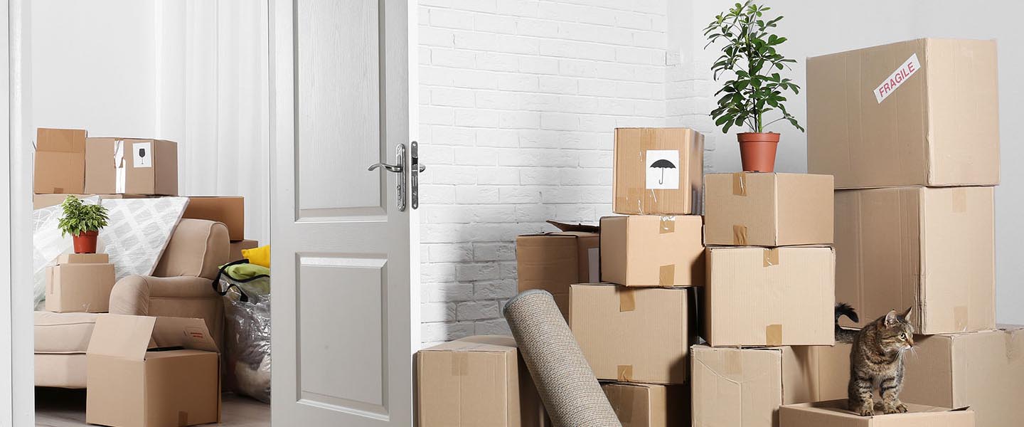 Packers and Movers in Chennai